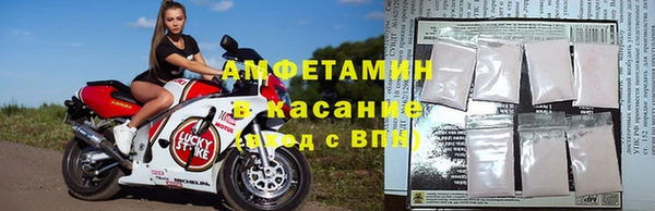 крисы Новозыбков