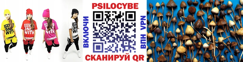 Псилоцибиновые грибы Magic Shrooms Задонск